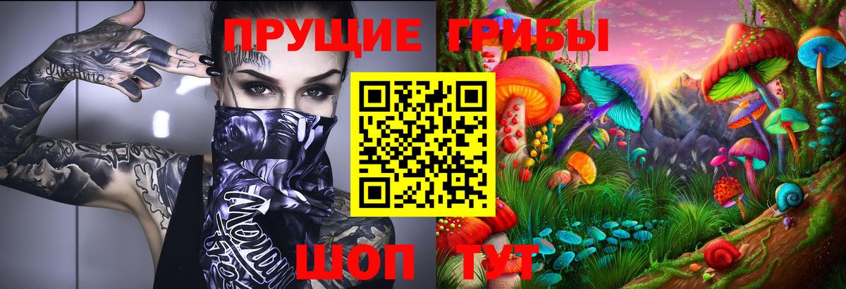 Димитровград  Псилоцибиновые грибы Psilocybe  Вход с VPN 